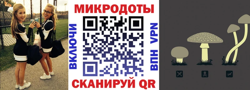 купить закладку  Бор  Псилоцибиновые грибы MAGIC MUSHROOMS 