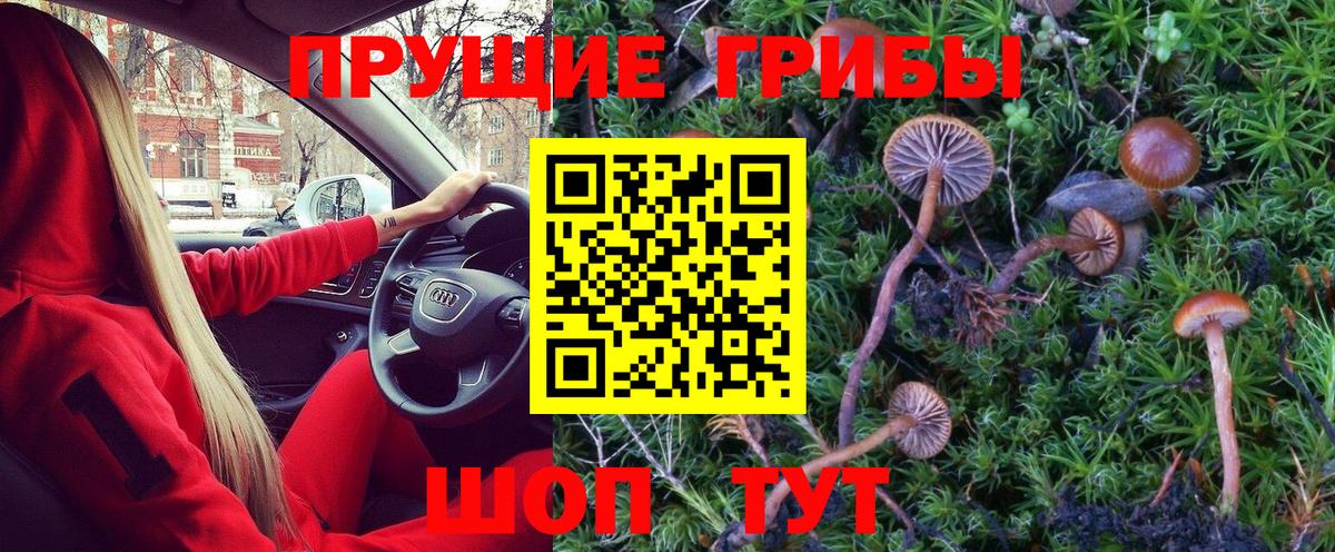 Псилоцибиновые грибы Magic Shrooms Бор